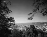 Overlooking Kelburn and Wellington Harbour
