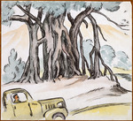 [Jungle trees with car]