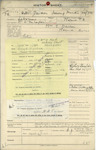 DAVISON, Henry Hunter - WW1 24/735 - Army