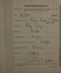 Wong Sing - age 21 - born at Canton - arrived ship 'Mokoia' from Sydney - certificate issued at Auckland 3/02/1908