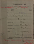 Park How - age 23 - born at Canton - arrived ship 'Maheno' from Sydney - certificate issued at Auckland 11/11/1919