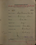 Ming How - age 28 - born at Canton - arrived ship 'Maheno' from Sydney - certificate issued at Auckland 30/12/1919
