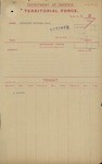 Territorial Force - Matthew Henry Willoughby - 2nd Lieutenant, Corps of New Zealand Engineers