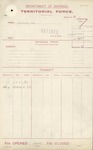 Territorial Force - John Stevenson - Captain, Queen Alexandra's 2nd (Wellington West Coast) Mounted Rifles