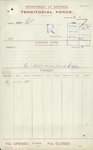 Territorial Force - Annie Maria Leahy [Nurse, Voluntary Aid Detachment/New Zealand Red Cross]