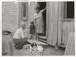 Title
Dr. C. S. Williams - A day on his country rounds.

Publicity Caption
Dr. Williams makes friends with one of Mrs. Henry Tua's nine children before carrying out an examination for tuberculosis. Two adults and nine children share the one-roomed shack. Such appalling living conditions inspire the doctor in his building programme for better Maori houses.

Photographer
K.V. Bigwood