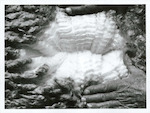 Title:
Agriculture - Sheep - Wool

Publicity Caption:
Wool of the Romney sheep, on farm of the Estate of James Reid, Darfield, Christchurch.

Photographer:
Mr Neill.