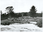Title:
Sports - Golf

Publicity Caption:
Golf at Rotorua, Charles v Nagle

Photographer:
D Nicholson