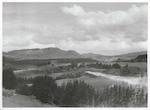 Title:
Agriculture - Soil Conservation - Aerial topdressing

Publicity Caption:
A Fletcher FU24 of James Aviation Ltd. flown by Bill Pentecost topdressing in the Bay of Plenty.

Photographer:
D. Nicholson