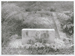 Title:
Pacific Islands - Cook Island - Rarotonga - People

Publicity Caption:
The Grave of Robert Frisbie at Rarotonga.

Photographer:
W. Cleal