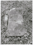 Title:
Pacific Islands - Cook Island - Rarotonga - People

Publicity Caption:
The Grave of Charles Wells Banks at Rarotonga.

Photographer:
W. Cleal