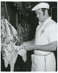 Title:
Food - Meat - Inspection

Publicity Caption:
Waingawa Freezing Works, Masterton.  Meat Inspector Michael O'Connor, performing the routine examination of beef heads as they pass by his 8inspection station.

Photographer:
W Cleal