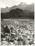 Title:
Fishing - Trout

Publicity Caption:
Mr. Peter Donaghy, a fishing guide with the Hollyford Tourist and Travel Co., preparing to cook a freshly caught brown trout on the bank of the Pyke River. Darran Mountains in the background, Mount Madeline 8,380ft in the background, Fiordland National Park. Otago

Photographer:
R. Anderson