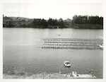 Title:
New Zealand World Rowing Championships, Lake Karapiro.

Publicity Caption:
Final Mens Eight. Just after start. NZ lane one. NZ crew left to right: Noel Mills, Ivan Sutherland, David Lindstrom, Ross Lindstrom, Des Lock, Danial Rodgers, Greg Johnston, Mark James, Alan Cotter (Cox).

Crews left to right: 
New Zealand. 3rd.
West Germany. 2nd.
France. 5th.
Bulgaria. 6th.
East Germany. 1st.
Australia. 4th.

Photographer:
Unknown.