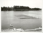 Title:
New Zealand World Rowing Championships, Lake Karapiro.

Publicity Caption:
Final Mens Eight. Just after start. NZ lane one. NZ crew left to right: Noel Mills, Ivan Sutherland, David Lindstrom, Ross Lindstrom, Des Lock, David Rodgers, Greg Johnston, Mark James, Alan Cotter (Cox).

Crews left to right: 
New Zealand. 3rd.
West Germany. 2nd.
France. 5th.
Bulgaria. 6th.
East Germany. 1st.
Australia. 4th.

Photographer:
Unknown.