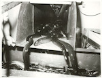 Title:
Fishing - Eel

Publicity Caption:
Eels coming down shute, into tank where they are electrically stunned, at Thomas Richard's Eel processing factory, Whenuapai

Photographer:
G Riethmaier