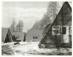 Title:
Hotels - South Island

Publicity Caption:
"A" frames in Mt. Cook National Park. These tourist chalets are set in a cluster of pine trees not far from the Hermitage

Photographer:
T. Hann