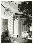 Title:
Wellington City - Buildings

Publicity Caption:
A view through trees of part of The Terrace. The buildings are (from the right) Chase House, IBM House and in the background is part of James Cook Hotel 

Photographer:
T.W. Hann