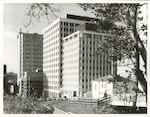 Title:
Wellington City

Publicity Caption:
A view through trees of part of The Terrace. The buildings are (from the right) Chase House, IBM House, and in the background is part of James Cook Hotel

Photographer:
T.W Hann