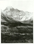 Title:
Canterbury - Cook, Mt.

Publicity Caption:
Looking towards Mt. Cook from Kea Point showing where the Hooker and Mueller Glacier meet

Photographer:
T. Hann