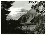 Title:
Canterbury - Cook, Mt.

Publicity Caption:
Mt. Cook shrouded with cloud seen through trees on the Glencoe walk

Photographer:
T. Hann