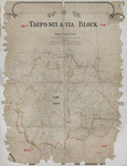 Maori Roll Plan B53 - ML 5995D - [part 4 of 6] - Map of the Taupo-Nui-Atia Block. Scale 2 miles - 1 inch. Lands coloured purple have passed Native Lands Court - Applicants: Te Heuheu Tukino, Matuahu Te Wharerangi, Kingi Te Herekiekie, Paurini Karama and others. Produced at a sitting of the Native Land Court held at Tapaueharuru on fourteenth day of January 1886. Brookfield - Judge.