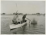 Title: Commercial Eeling, Lake Ellesmere  Publicity Caption: Mr. F. Vince and W. Cunningham setting out in their boat.  June 1948  Photographer : Mr. Bigwood