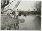 Title: Commercial Eeling, Lake Ellesmere  Publicity Caption: The selection of sites for setting the nets is in the deep waters of the creeks.  Seldom is the same site trapped on consecutive nights.  Picture shows: W. Cunningham (left) and D. Vince (right) lowering baited trap.  June 1948  Photographer : Mr. Bigwood