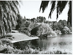 Title: 
Wellington Province - Wanganui City

Publicity Caption:
Virginia Lake, St. John's Hill, Wanganui

Photographer:
B. Clark