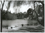 Title: 
Wellington Province - Wanganui City

Publicity Caption:
Virginia Lake, St. John's Hill, Wanganui

Photographer:
B. Clark