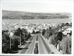 Title: 
Otago - Dunedin City

Publicity Caption:
Stuart Street, Dunedin City

Photographer:
R. Anderson