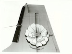 Title:  
Transport - Airways  

Publicity Caption:
Tail section of a MT Cook Airlines Hawker Siddley aircraft 

Photographer:
W. Cleal
