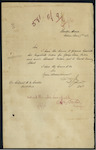 D Johnston, Collector of Customs, Nelson - Walter Clements Miller and George James - sent to Naval Training School - forwarding Magistrate's Orders