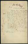 Henry William Brewer, Landing Surveyor, Auckland - "Hero" - Captain Logan has failed to mark the deck lines - report