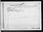 East and West Coast Rly [Railway], Lewis Pass Route, division 4 plan and section of line, 15 miles to 20 miles, A.D. Austin, Ch Ch [Christchurch], scale 3 chains and 30 feet to 1 inch, plans sheets 16 to 20