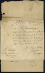 James Lowrie, Coast Waiter, Kaipara - "Woolomi"- ask Collector at Dunedin to collect fee for detention of pilot at Kaipara