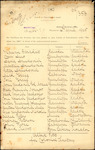 From: Alfred Peters, Canvastown Date: 17 February 1905 Subject: Memorial for naturalisation