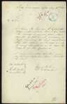 Henry Parker, Tide Surveyor, Customs Office, Auckland - Foreign Vessels - none sighted on or near coast