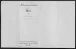 SIMPSON Nellie Louisa - Hamilton - Widow