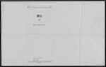 WILSON Edith Irene - Hamilton - Widow