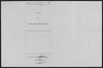 KNIGHTS Walter James Anderson - Auckland - Commercial Traveller