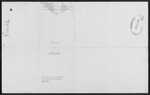 COOK Grace Robertson - Auckland ex Concord,New South Wales - Widow