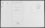 WEBSTER George Alfred Fairfax - Onehunga - Retired Labourer