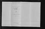 NORTON Janet Alice Reid King - Auckland - Wife of Henry Putland
