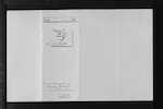 SMITH Samuel Charles - Auckland - Agent