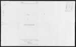 MOORE Henry Thomas - Pukekohe - Company Director