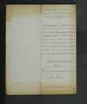 MITCHELL George - South Dunedin - Cook and Steward