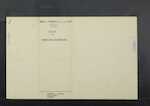 COOK Minnie Maria Blanche - Dunedin - Spinster