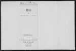WOOD Harold Henry - Te Aroha - Garage Proprietor