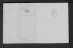 JONES Charles Arnold - Westmere ex New Plymouth - Retired